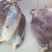 睢宁黄牛肉