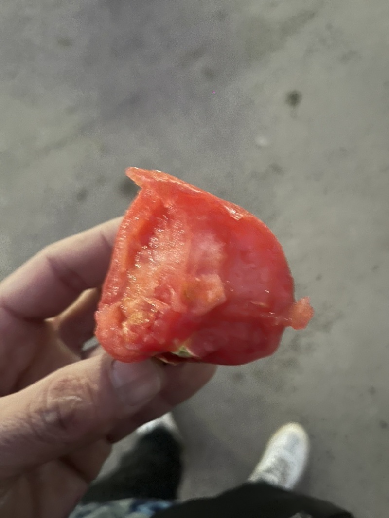 西红柿