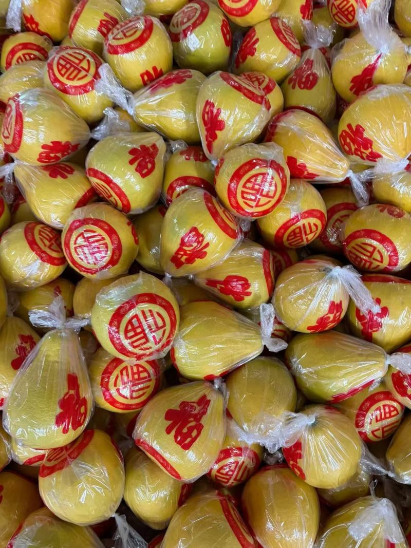永州老树香柚