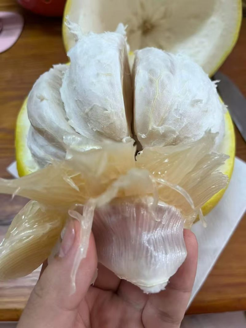 永州老树香柚