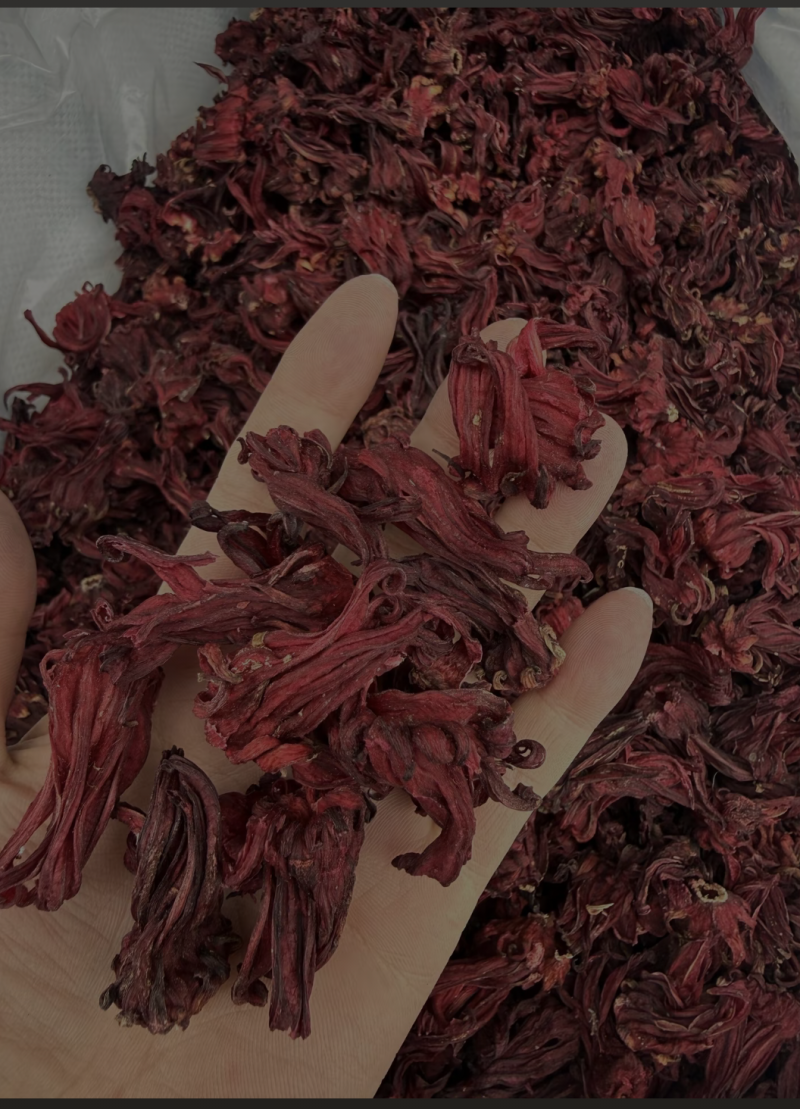 玫瑰茄（洛神花）***********