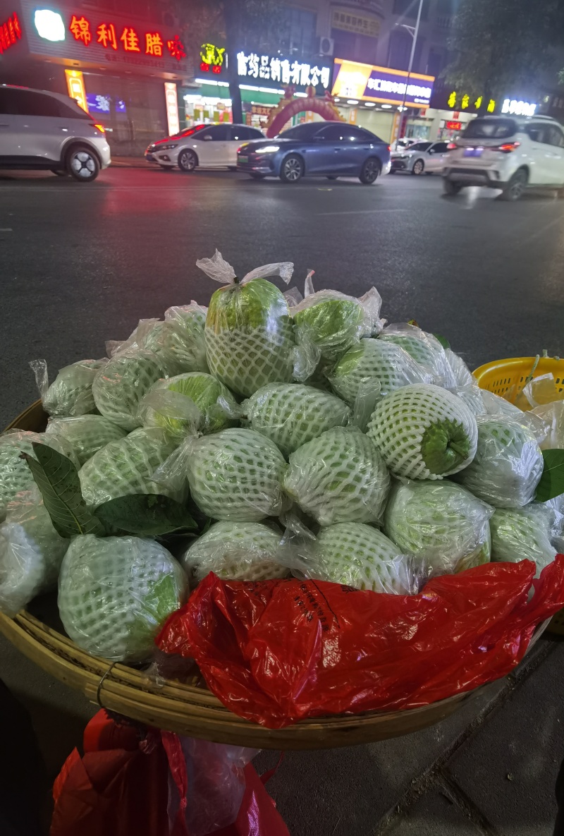 广东本地番石榴一手货源
