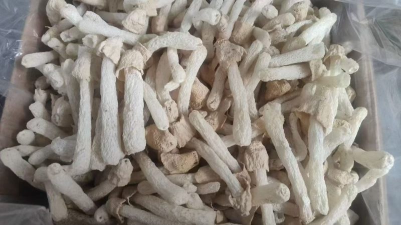 竹荪竹笙厂家直销贵州竹荪餐饮酒店专业供应商各种规格齐全