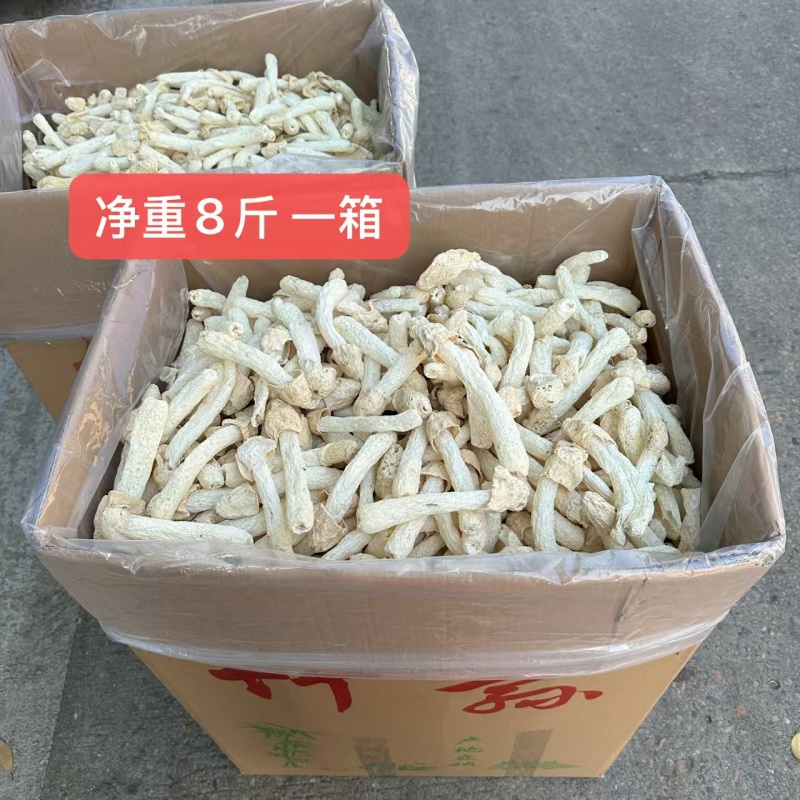 竹荪竹笙厂家直销贵州竹荪餐饮酒店专业供应商各种规格齐全
