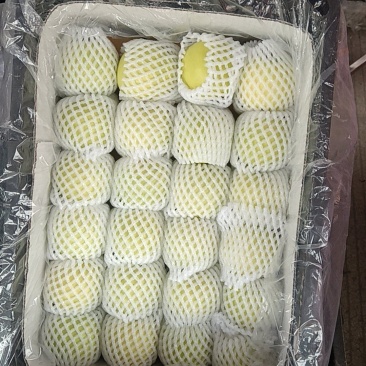 白水瑞雪，瑞阳，瑞香红苹果，大量有货