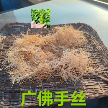 广佛手柑茶饮精品手工切丝自然晒干