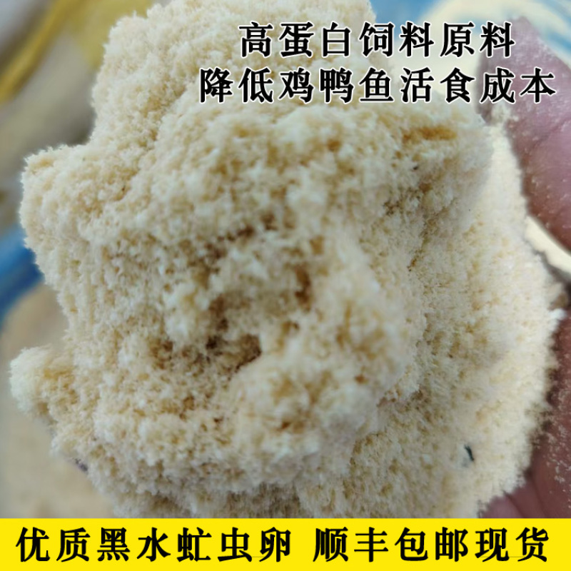 高孵化率黑水虻虫卵，养殖基地直发，长期合作，可一件代发。