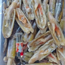开壳蛏子