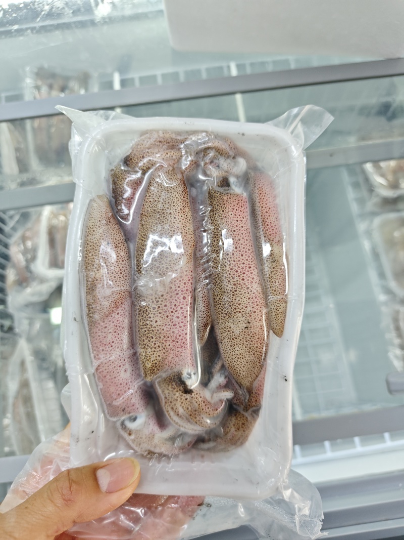 鱿鱼，子弹头