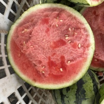 美都西瓜精品麒麟美都，现货现发一手货源两大价优