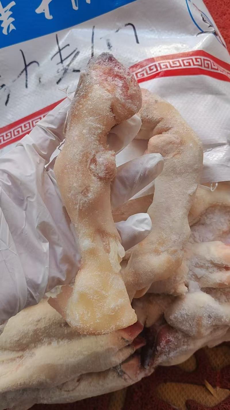 羊蹄
