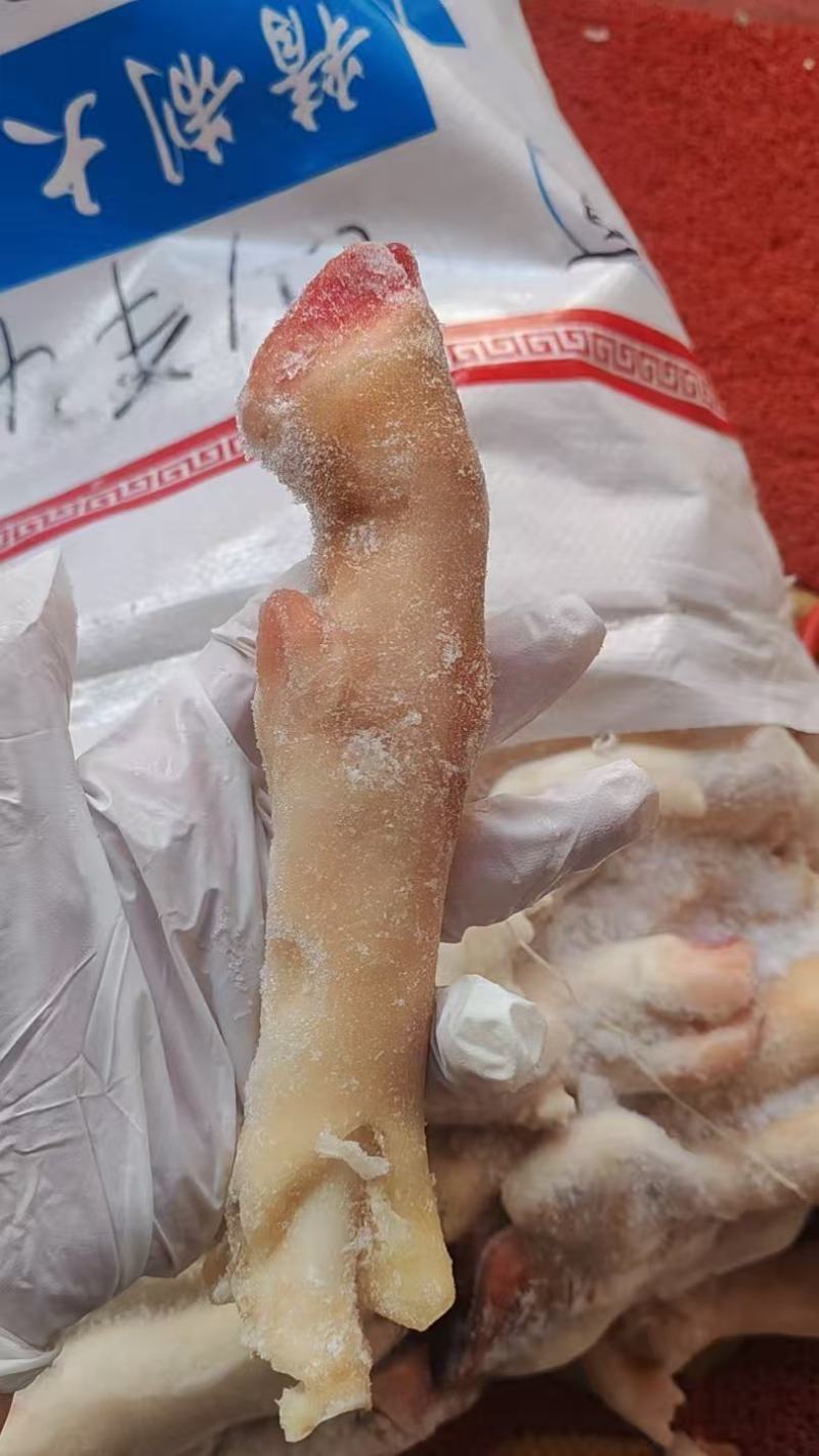 羊蹄