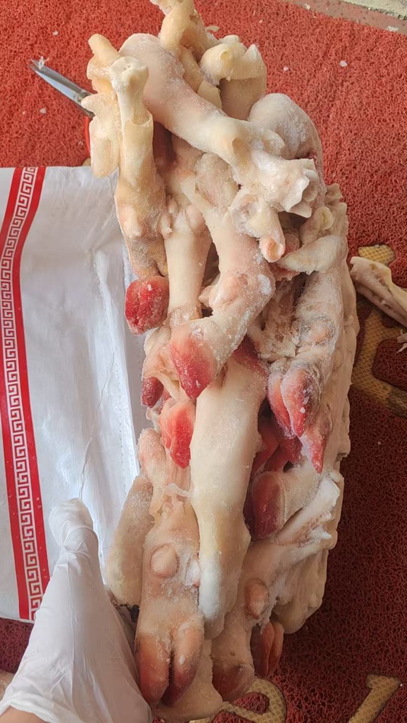羊蹄