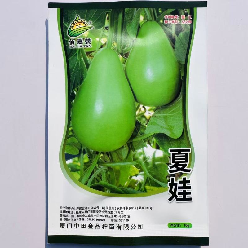 夏娃瓠子果型如灯泡圆瓠瓜种子果色翠绿有光泽肉白色蒲瓜种蔬
