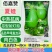 夏娃瓠子果型如灯泡圆瓠瓜种子果色翠绿有光泽肉白色蒲瓜种蔬
