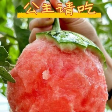 精品2k西瓜小糖丸美都西瓜大量上市，个头均匀皮薄脆甜多汁