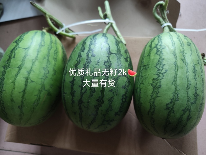 精品2k西瓜小糖丸美都西瓜大量上市，个头均匀皮薄脆甜多汁