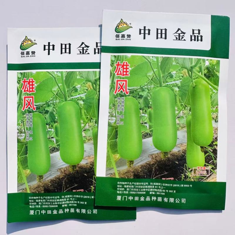 佰嘉赞雄风瓠瓜种子中早熟短棒蒲瓜种子皮色翠绿如青玉瓠瓜种