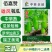 佰嘉赞雄风瓠瓜种子中早熟短棒蒲瓜种子皮色翠绿如青玉瓠瓜种