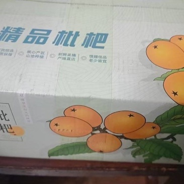 （一件代发）新鲜枇杷电商一件发货抖音24小时内揽收发货