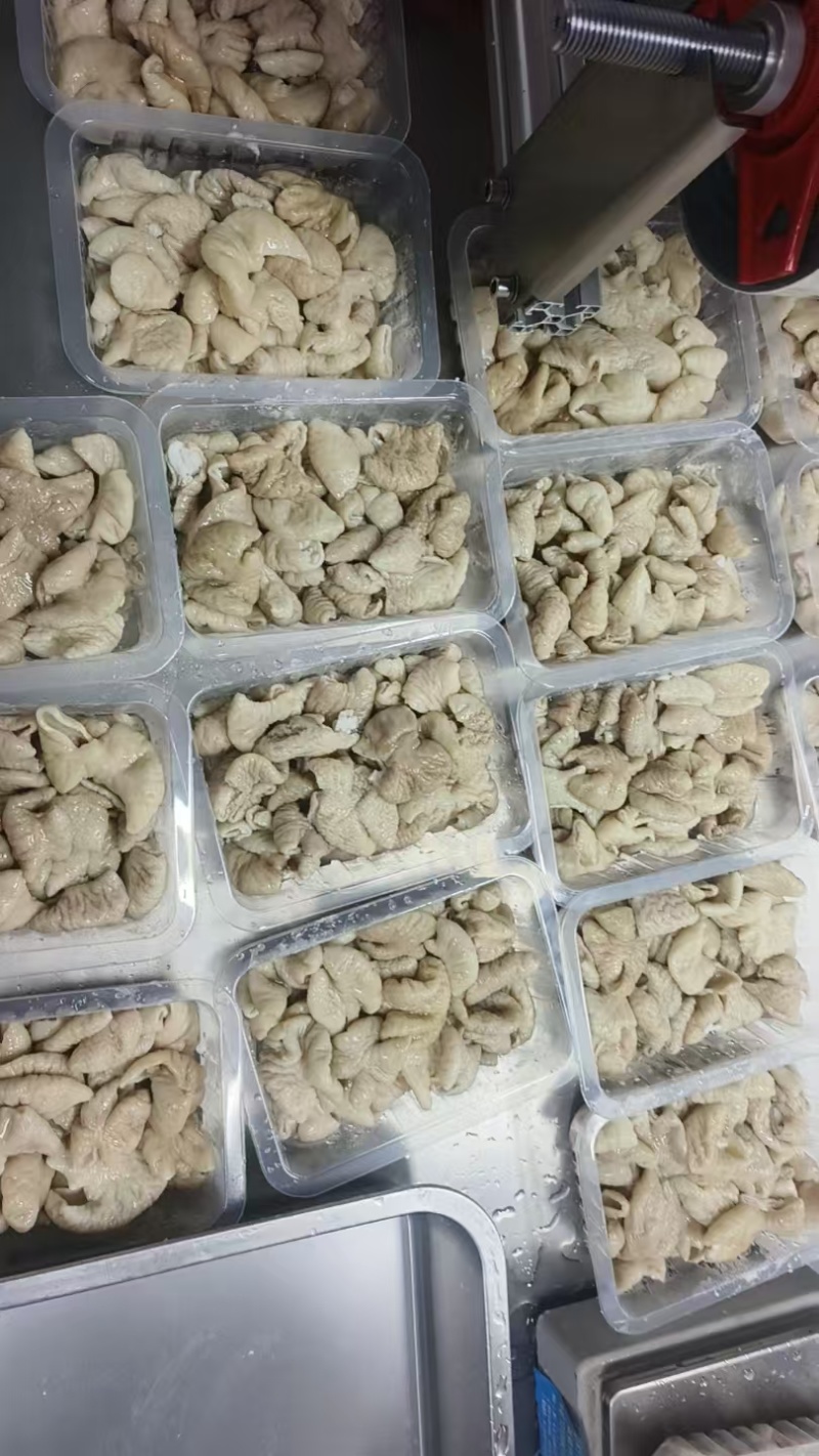 预煮肥肠