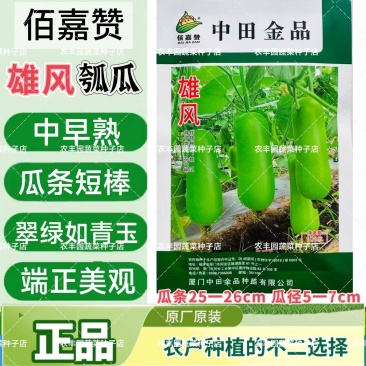 佰嘉赞雄风瓠瓜种子中早熟短棒蒲瓜种子皮色翠绿如青玉瓠瓜种