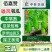 佰嘉赞雄风瓠瓜种子中早熟短棒蒲瓜种子皮色翠绿如青玉瓠瓜种