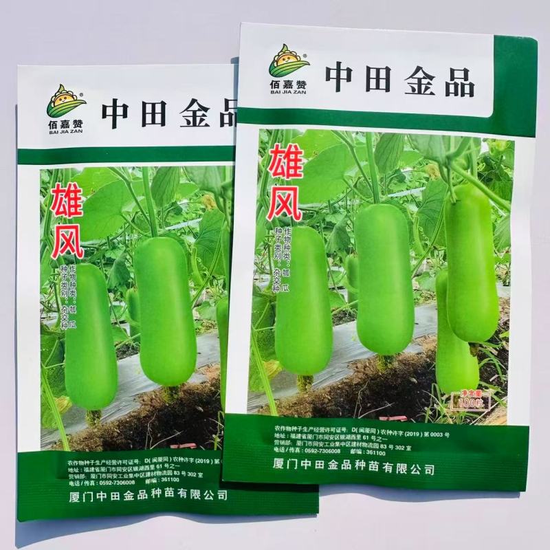 佰嘉赞雄风瓠瓜种子中早熟短棒蒲瓜种子皮色翠绿如青玉瓠瓜种