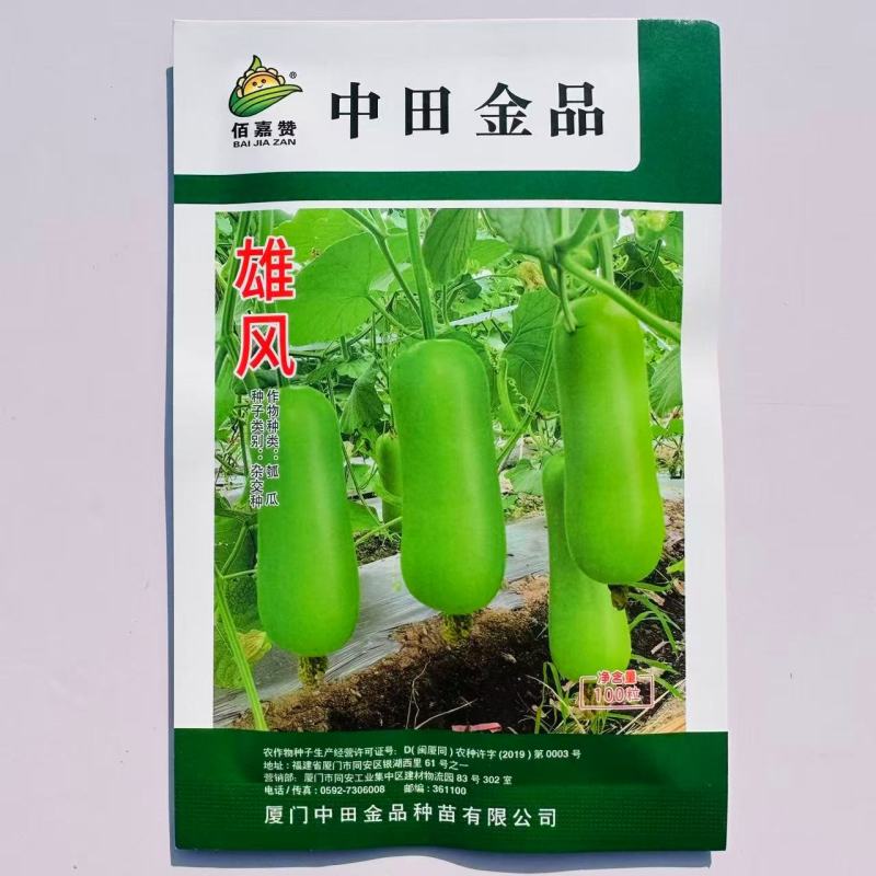 佰嘉赞雄风瓠瓜种子中早熟短棒蒲瓜种子皮色翠绿如青玉瓠瓜种