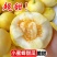 山东临沂小蜜蜂甜瓜星甜20甜瓜批对接商超团购