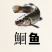 叉尾鱼，1-1.5斤