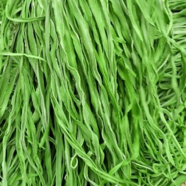 贡菜批发
