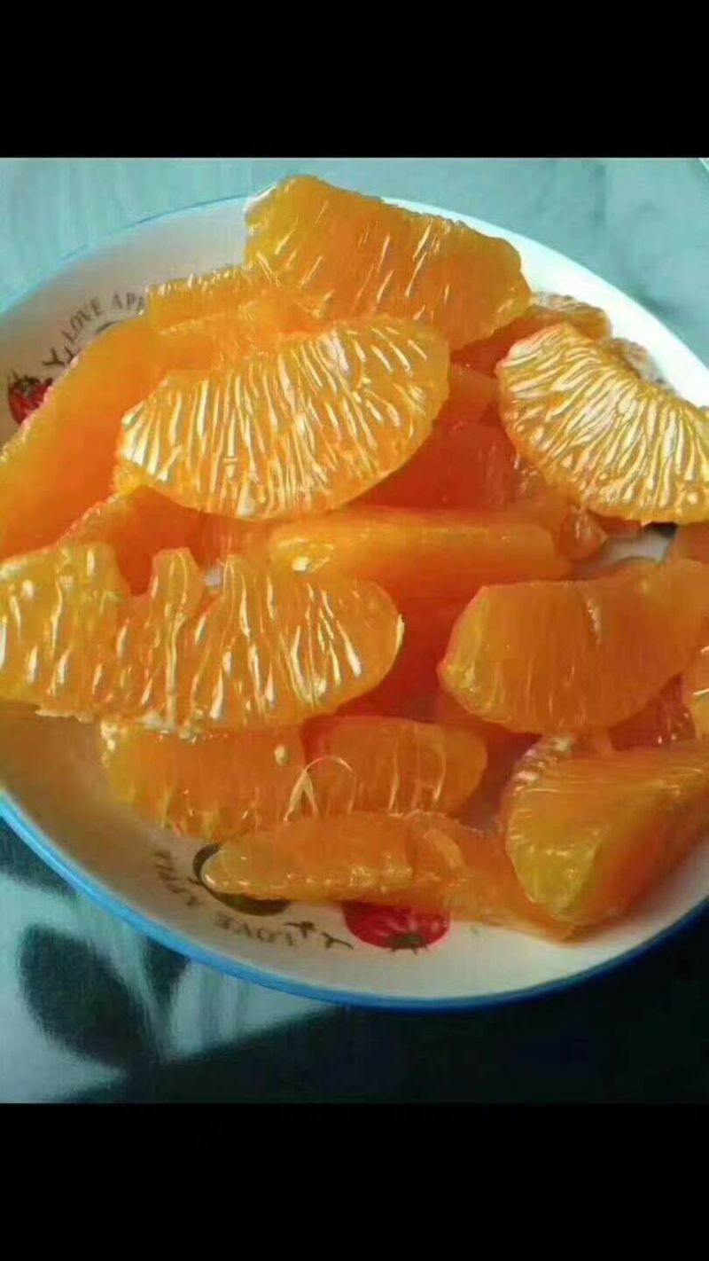 黄果柑，50果起摘，有三万斤左右
