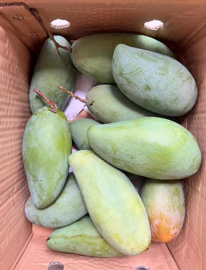 （一件发货）大青芒电商抖音～拼多多全平台不限量发货包时效