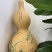 葫芦