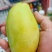（一件发货）越南玉芒电商抖音全平台不限量发货包物流时效