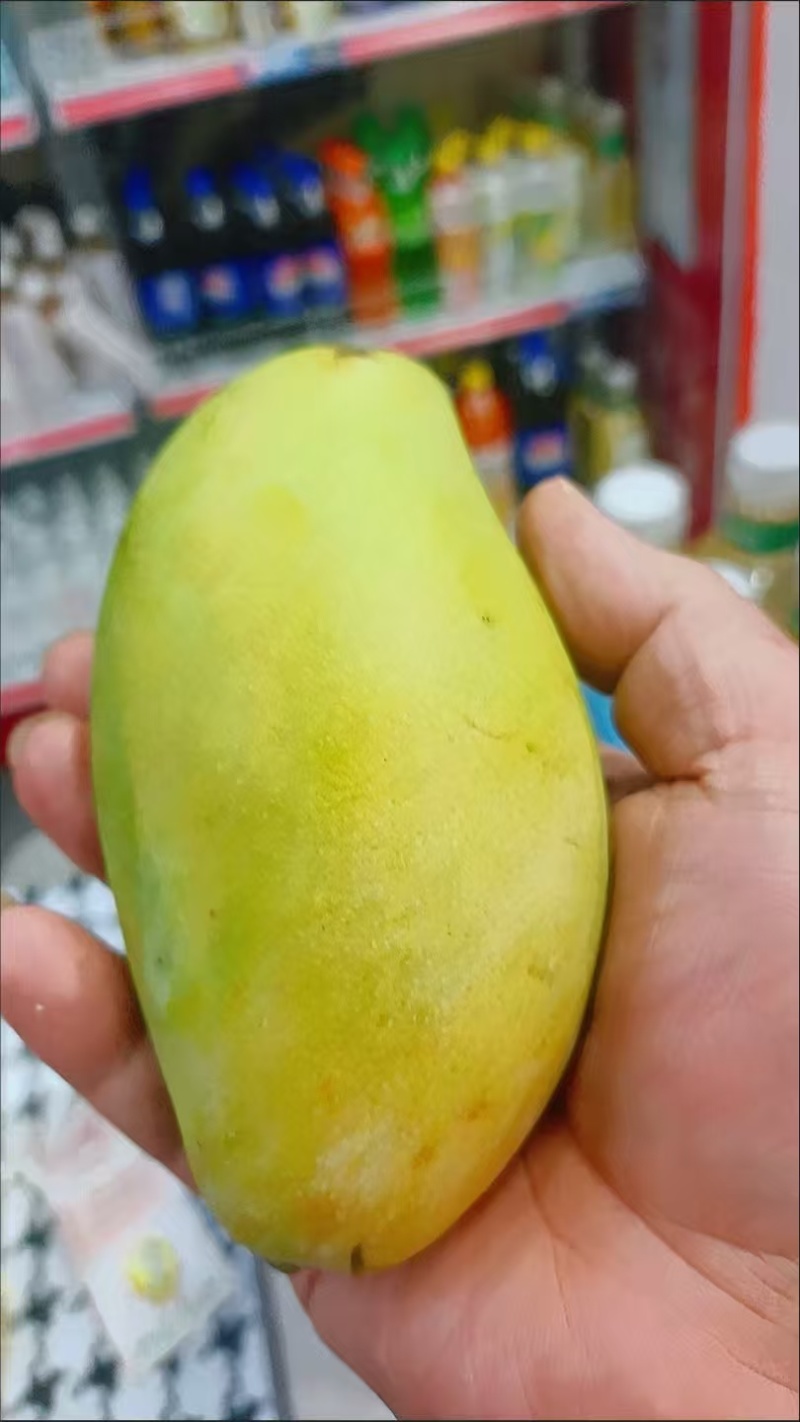（一件发货）越南玉芒电商抖音全平台不限量发货包物流时效