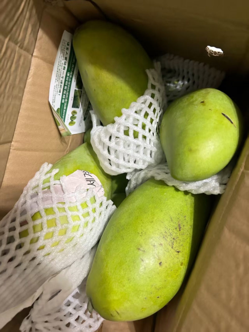 （一件发货）越南玉芒电商抖音全平台不限量发货包物流时效