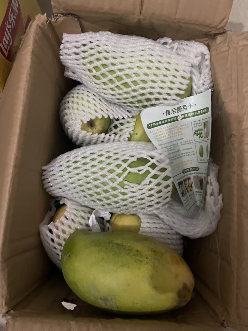 （一件发货）越南玉芒电商抖音全平台不限量发货包物流时效