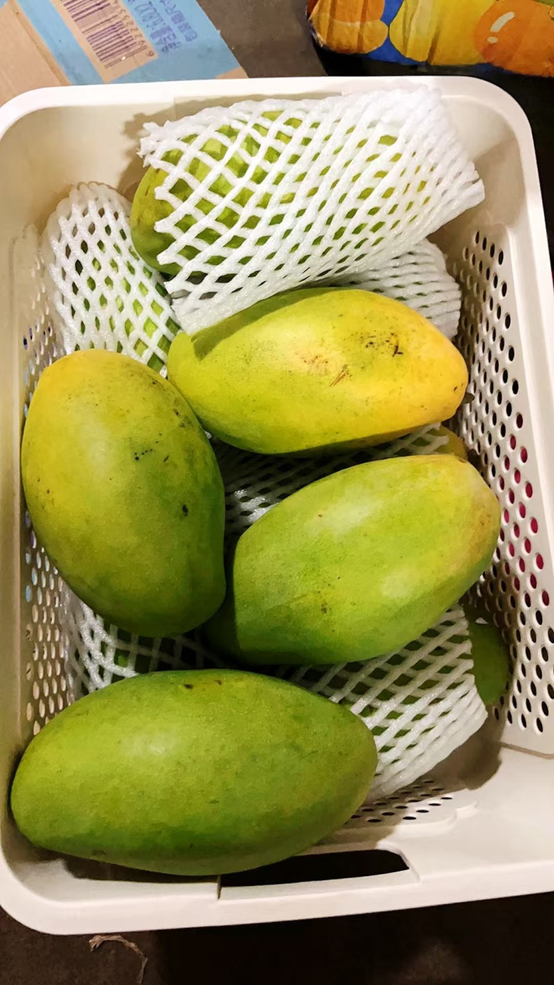 （一件发货）越南玉芒电商抖音全平台不限量发货包物流时效