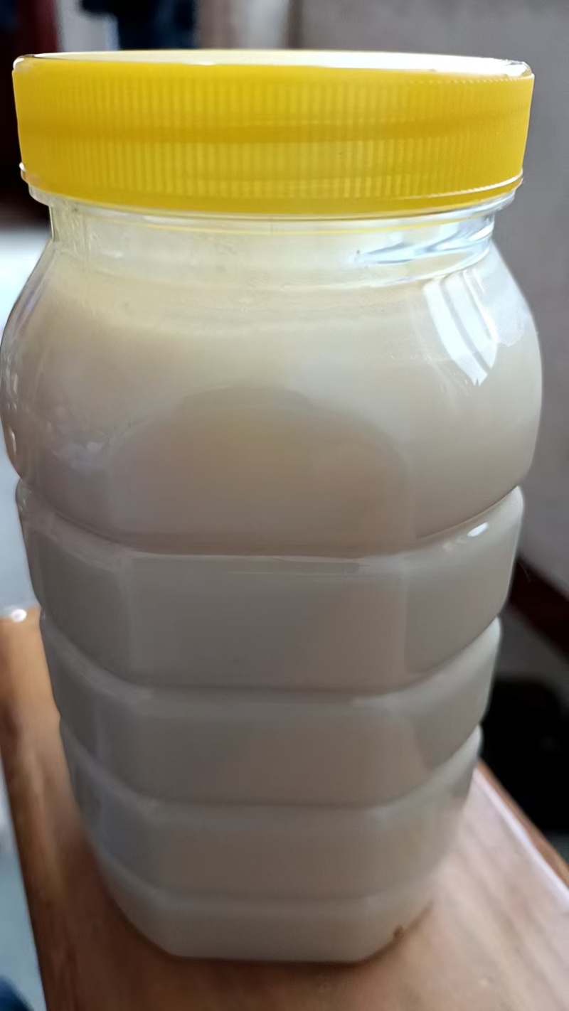 农家老人中蜂蜂蜜