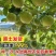 广西黄金百香果苗嫁接苗纯甜无酸一年四季开花结果