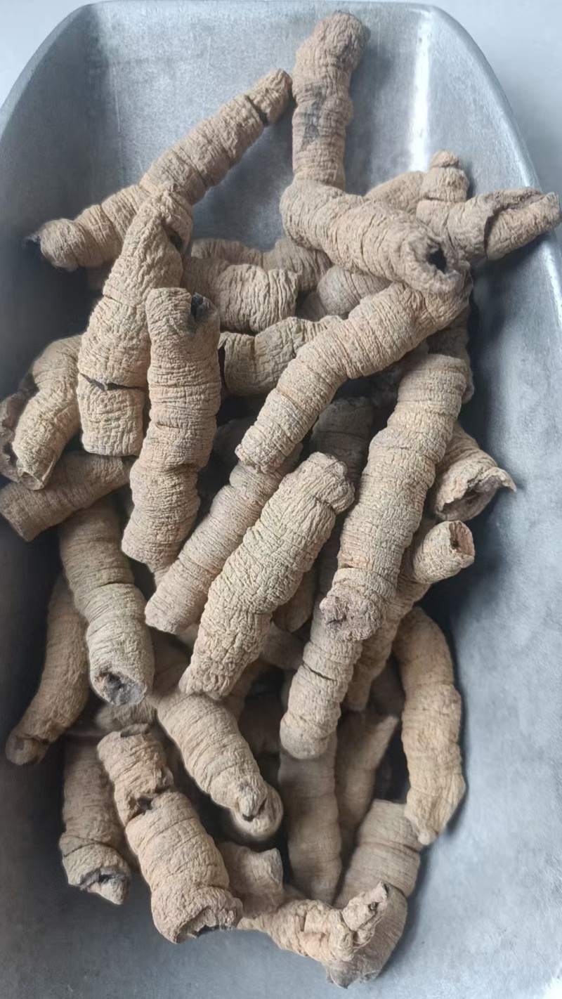 巴戟天批发中药材原料批发无硫全抽芯大条精选饱满无泥土全开