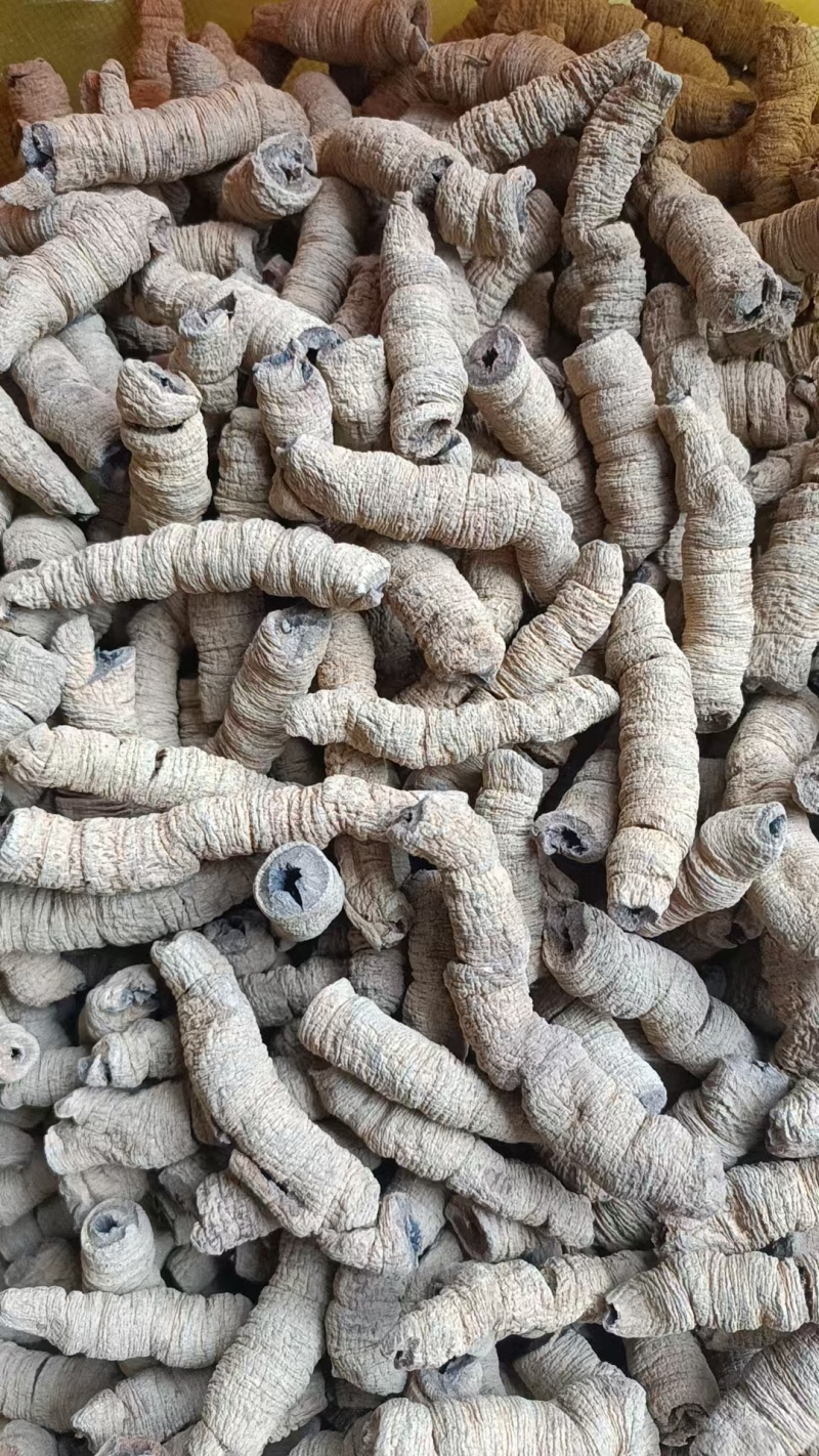 巴戟天批发中药材原料批发无硫全抽芯大条精选饱满无泥土全开