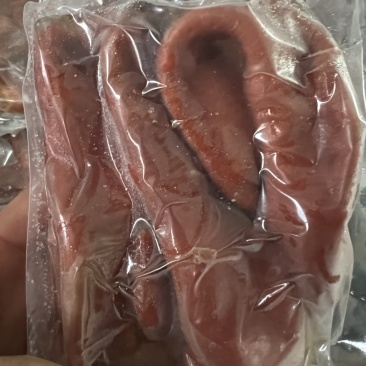 去双头大红海肠皮