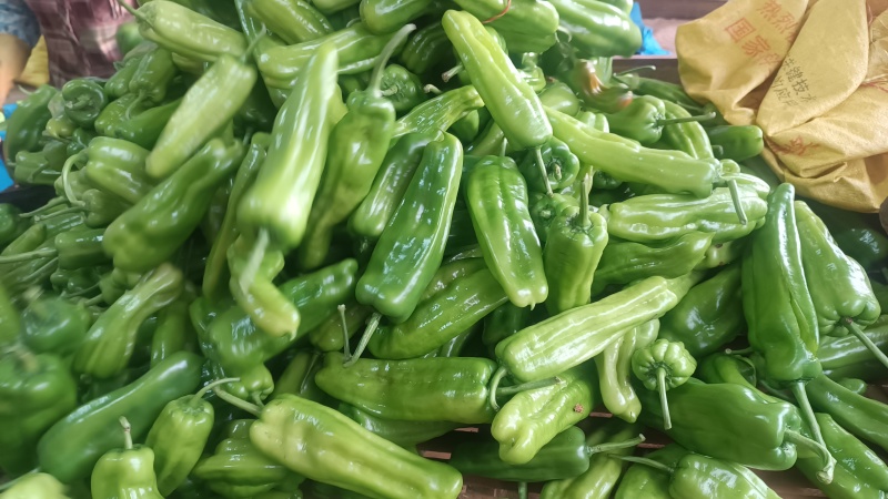 黄泡王辣椒