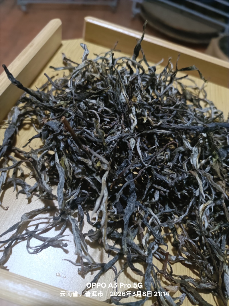 自家普洱茶