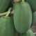 益元6号木瓜