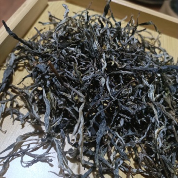 自家普洱茶