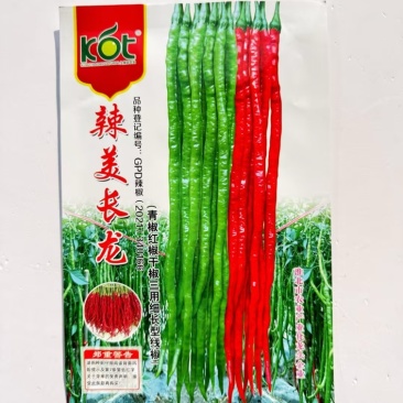 椒美长龙线椒品种，干鲜两用，青红椒品种种子